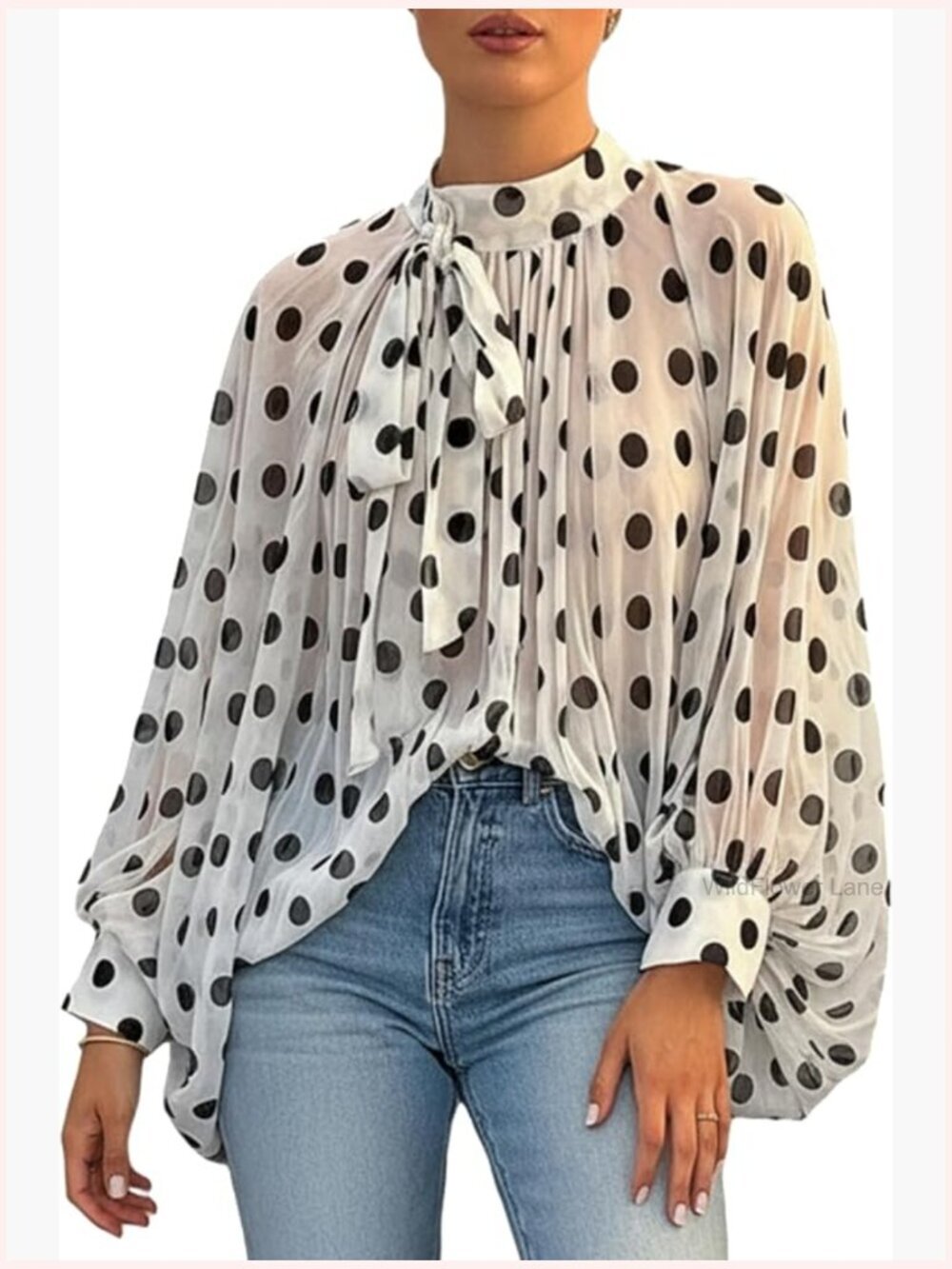 Polka Dots Blouse Mesh Flowy Long Sleeve Sheer Tie Neck Chiffon Shirt Vacation